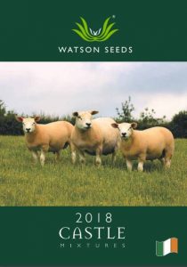 Castle Grass seed 2018