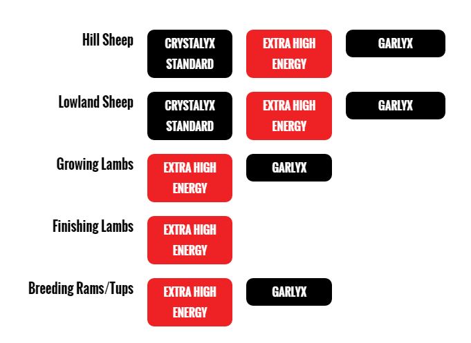 Summer minerals for sheep