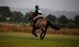 Horse eventing