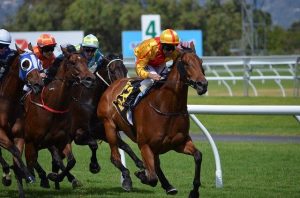 Horses racing