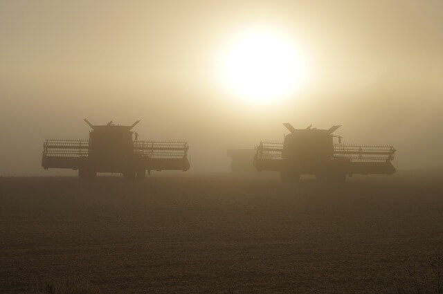 Duo of harvesters at sunset