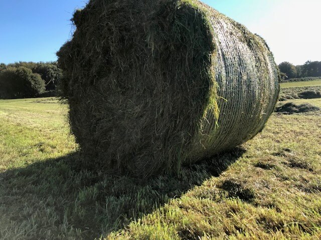Bale of silage